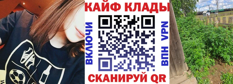 Где купить наркотики Мураши МАРИХУАНА MEGA Гашиш Меф Метадон Кокаин АМФ