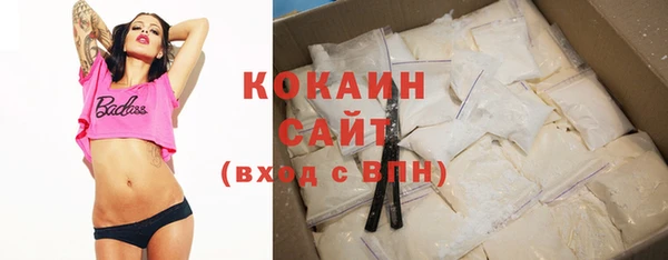 прущие грибы Белокуриха