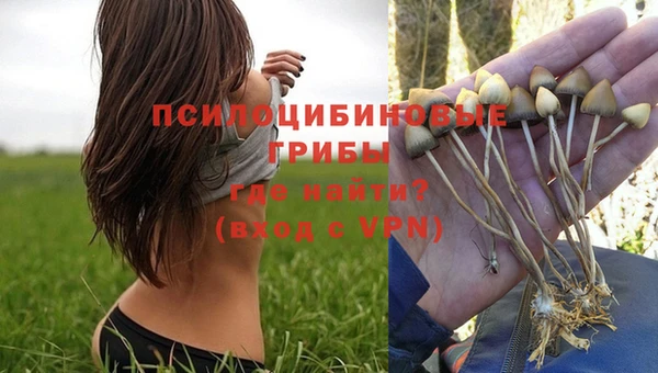 прущий лед Белоозёрский