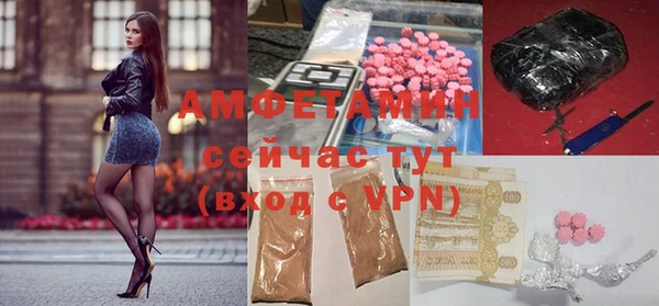 прущие грибы Белокуриха